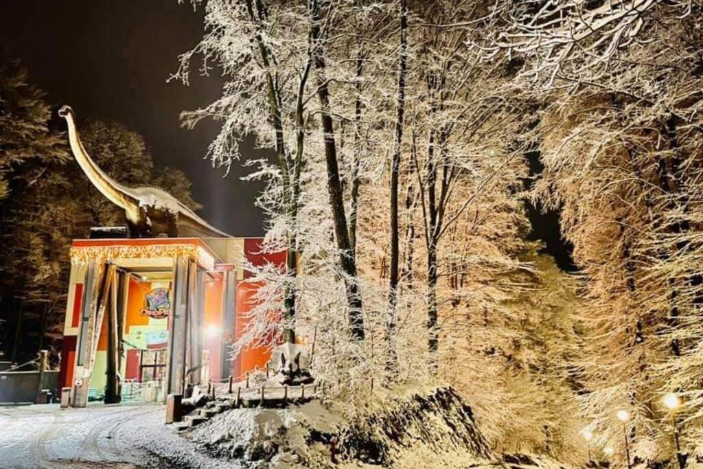 Mario'S Cozy Apartment Rîşnov Luaran gambar